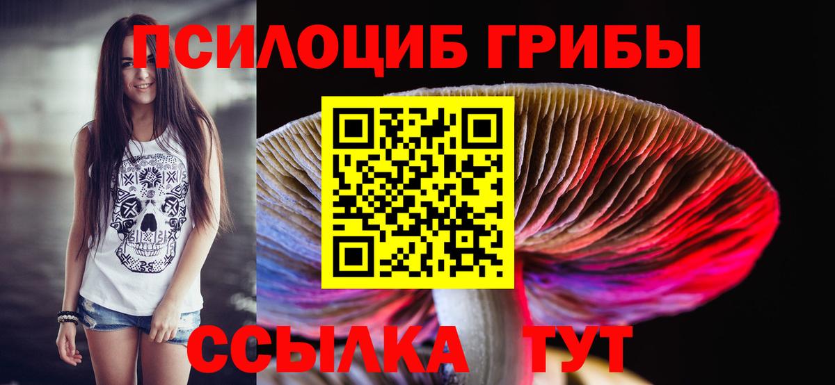 Галлюциногенные грибы Cubensis Родники