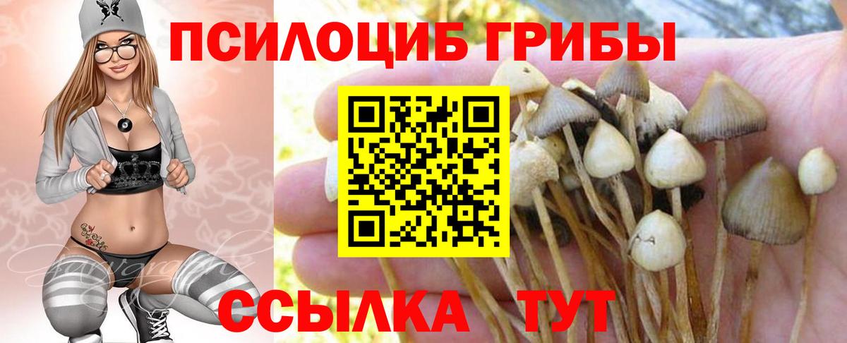 Псилоцибиновые грибы MAGIC MUSHROOMS  Вход с VPN  Родники 